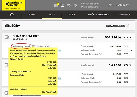 Internet Servis Raiffeisen Stavebni Sporitelna A S