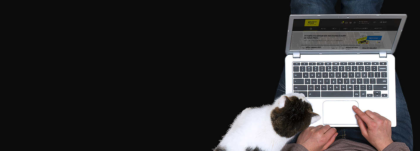 95 % BANKOVNÍCH AKTIVIT VYŘEŠÍTE ONLINE